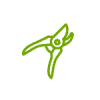 baum schere icon green
